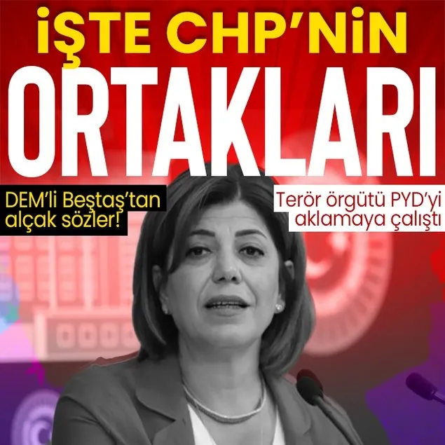 DEM’li Beştaş’tan alçak sözler