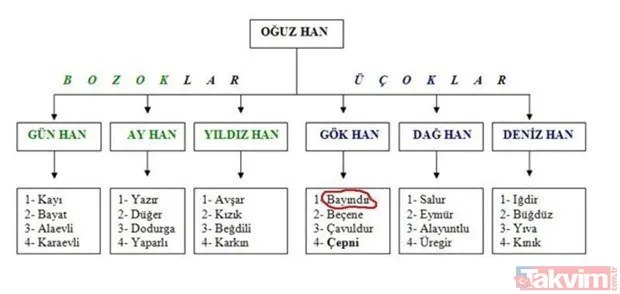 Türklerin kökeni nereden geliyor? İşte Türklerin soyağacı...