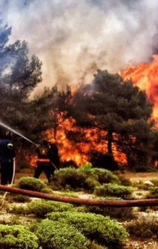 Yunanistan'daki yangın istifa getirdi