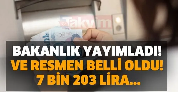 Bakanlık yayımladı! Ve resmen belli oldu! 7 bin 203 lira...