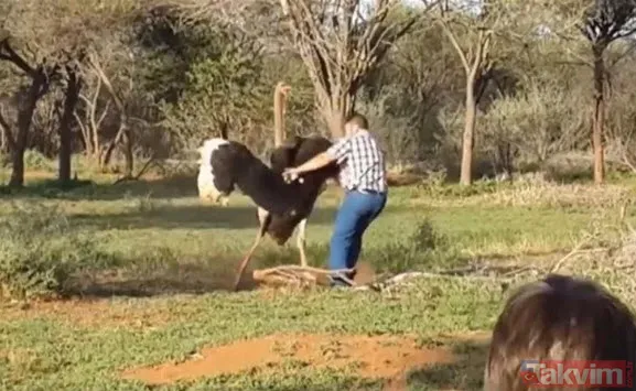 Sadece fotoğraf çektirmek istedi genç kız hayatının şokunu yaşadı! Bir anda üzerine atladı ne var yok... - 13