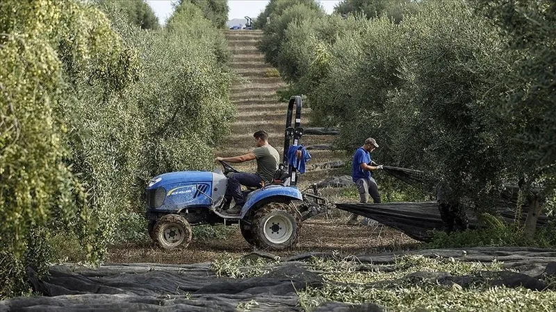 abd-israil-iran-savasi-gubreyi-vurdu-uretim-durdu-tarim-zinciri-felc-oldu-bmden-sistematik-sok-ve-fiyat-artisi-1774859034271.jpeg ABD-İsrail-İran savaşı gübreyi vurdu! "Üre"tim durdu tarım felç oldu: BM'den "sistematik şok" ve fiyat artışı uyarısı | Türkiye'den önlem-2