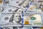 Merkez Bankası rezervleri açıkladı! 174 milyar 365 milyon dolarla tüm zamanların rekoru kırıldı