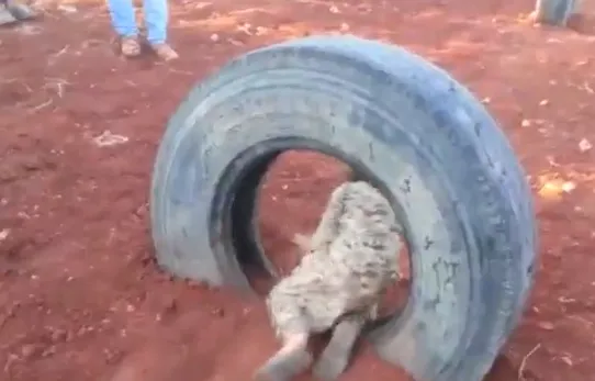 Son dakika: Ankara'da yılbaşı öncesi eylem hazırlığındaki teröristler yakalandı!-3