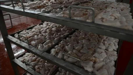 Beyaz et sektörüne operasyon: İşte denetim kayyumu atanan 13 şirket! | Gözaltı listesinde isim isim