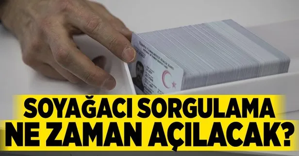 Soyağacı sorgulama ne zaman açılacak?