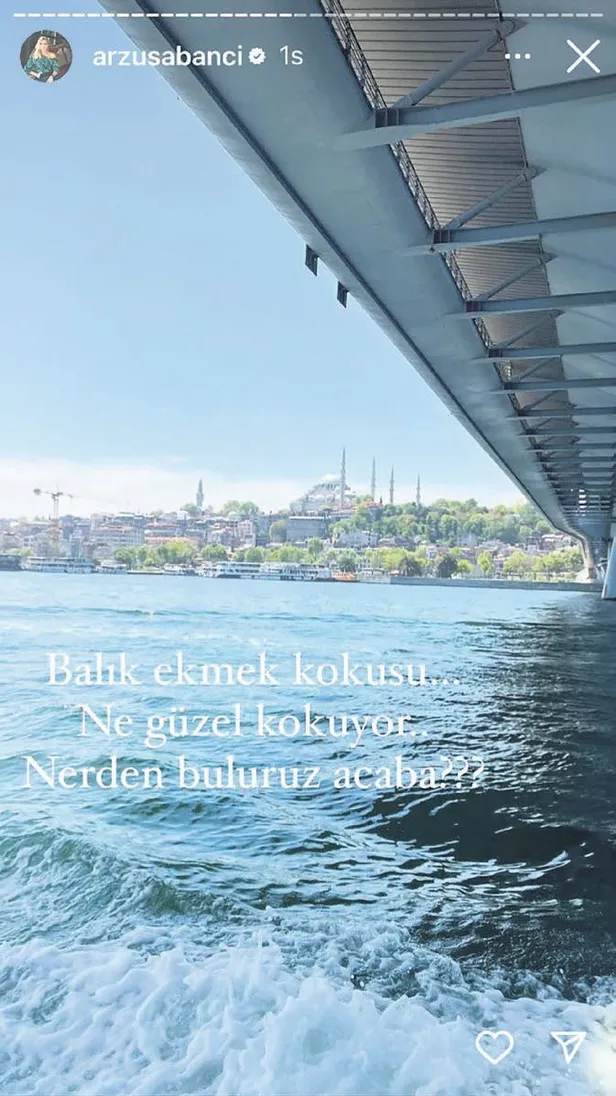 arzu-sabanci-paylasimiyla-sosyal-medyada-alay-konusu-oldu-sanirsin-uzayda-yasiyor-1652555459205.jpeg