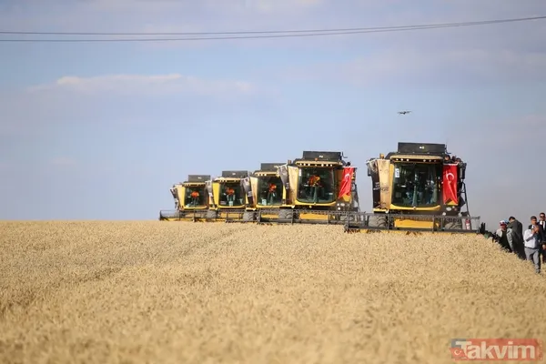 Başkan Erdoğan biçerdöverde buğday hasatı yaptı - 15