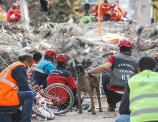 JAK timinde görevli köpekler İzmir'de 12 kişinin hayatını kurtardı