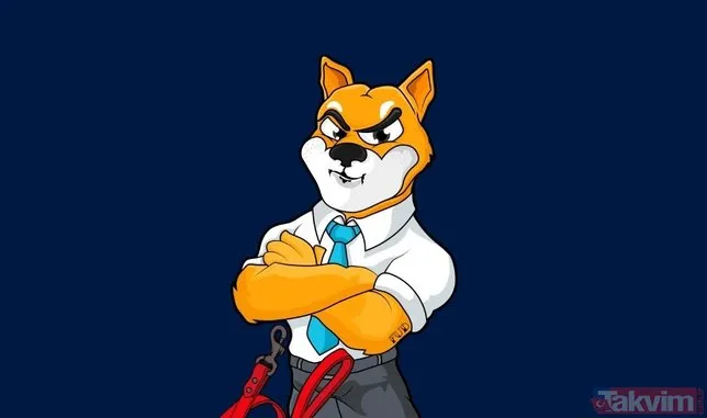 Shiba Unı (SHIB) Nedir, Nasıl Alınır?