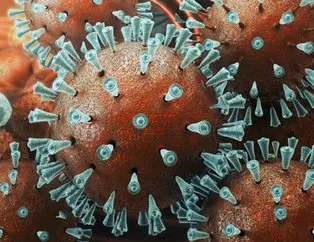 Koronavirüsü paniği giderek büyüyor! Bunları yapmayan Coronavirüsüne yakanalanabilir!