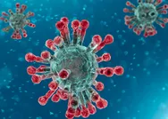 Türkiyeden koronavirüsle mücadelede çığır açacak yöntem: Kaydırma formülü!