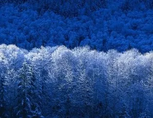 Kışın gelmesini iple çektiren fotoğraflar