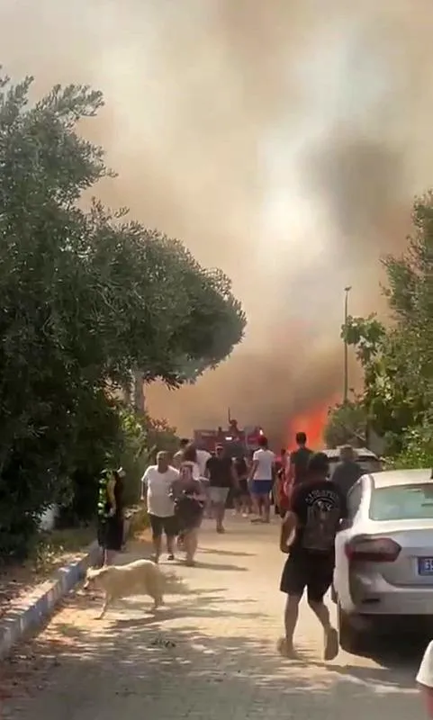 1720364303300.jpeg İzmir'de korkutan yangın! Alev alan otomobilden çıkan kıvılcımlar makilik alana sıçradı-3