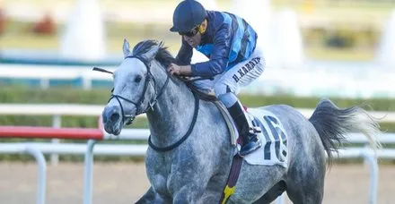 halis karatas yumruk goruntuleri olay oldu halis karatas kimdir takvim