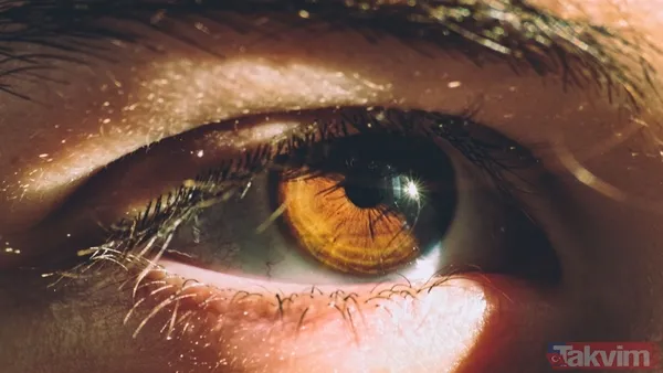 Gözleri gece lambası gibi açıyor şahin gibi keskinleştiriyor! Bu besinin faydaları saymakla bitmiyor - 3