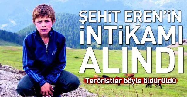 PKK’ya büyük darbe! Eren Bülbül’ü şehit eden teröristler öldürüldü