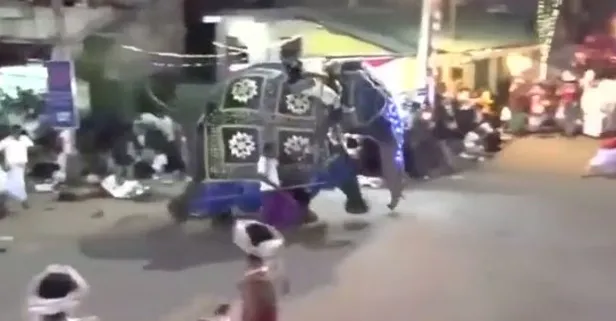 Sri Lanka’da filler kalabalığın arasına daldı: Çok sayıda yaralı var