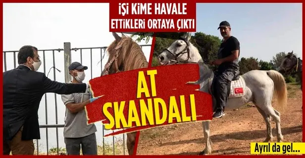 At skandalı büyüyor! DSP’li Nail Murat Pekin açıkladı: İBB’nin işini CHP Adalar İlçe Başkanı Ali Ercan Akpolat yaptı