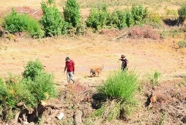 Selde kaybolan Asel'i kadavra köpekleri arıyor!