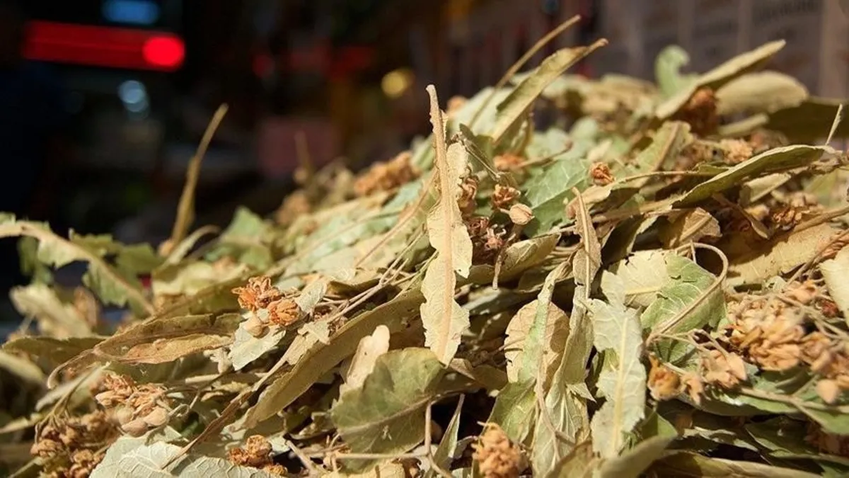 Uykusuzluk problemi yaşayanlar dikkat! Çaresi ıhlamurda