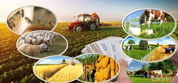 Çiftçiye mazot, yem ve gübre desteği! Tarım ve Orman Bakanı Vahit Kirişci açıkladı! Nasıl yararlanılacak? İşte detaylar... - 12