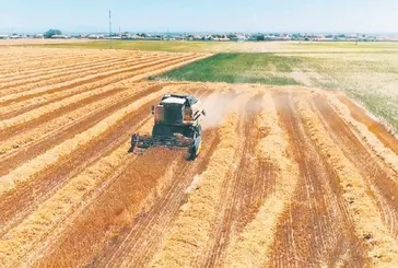 GAP’ta 50 bin dekar taşlık arazi tarıma kazandırılacak