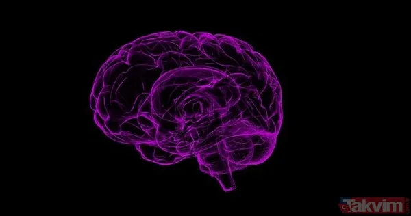 Alzheimer’ı yavaşlatıyor, kolesterolü ve tansiyonu düşürüyor! Mucize gibi bir şey... İşte sağlık deposu o besin! - 10