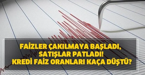 Faizler çakılmaya başladı, satışlar patladı!