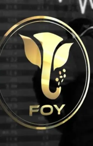 Sözde bağımsız özde "kripto" trollere FOY Token soruşturması! 16 milyon TL buhar olmuştu! Hepsi mercek altında