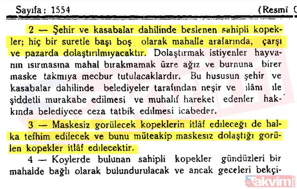 Başıboş sokak köpeği sorununa tarihsel bakış! Atatürk dönemindeki Resmi Gazete'de 'umumi mücade' vurgusu - 19