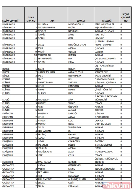 CHP'nin milletvekili listesinde yok yok! PKK sempatizanı, LGBT savunucusu, FETÖ'cü... İşte CHP'nin milletvekili listesi - 29