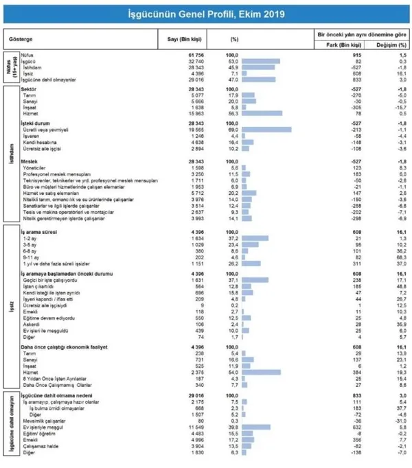 Son dakika: 2019 Ekim ayı işsizlik rakamları belli oldu-7