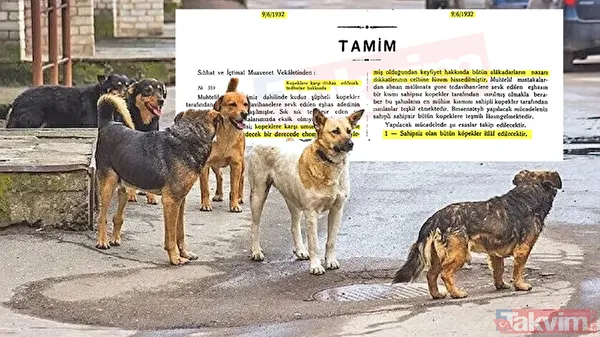 Başıboş sokak köpeği sorununa tarihsel bakış! Atatürk dönemindeki Resmi Gazete'de 'umumi mücade' vurgusu - 1