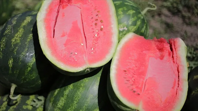 on-numara-karpuz-secmenin-yontemi-belli-oldu-meger-tam-o-kisma-baktiginizda-1717576714905.jpg Meğer hep yanlış yapıyormuşuz! On numara lezzetli karpuz seçmenin formülü belli oldu-4