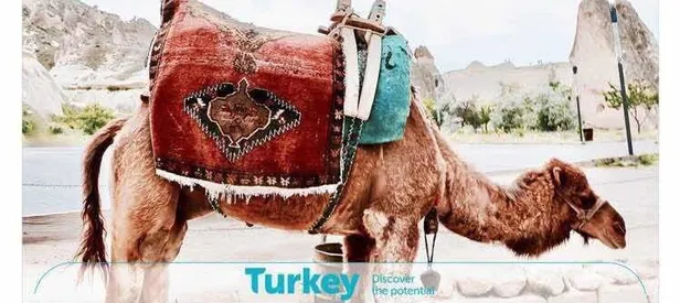 "Turkey" hesabından skandal paylaşım