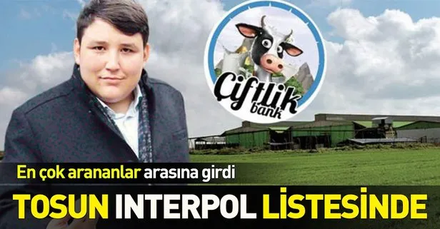 ’Tosun’ Interpol’de en çok aranan listesinde!