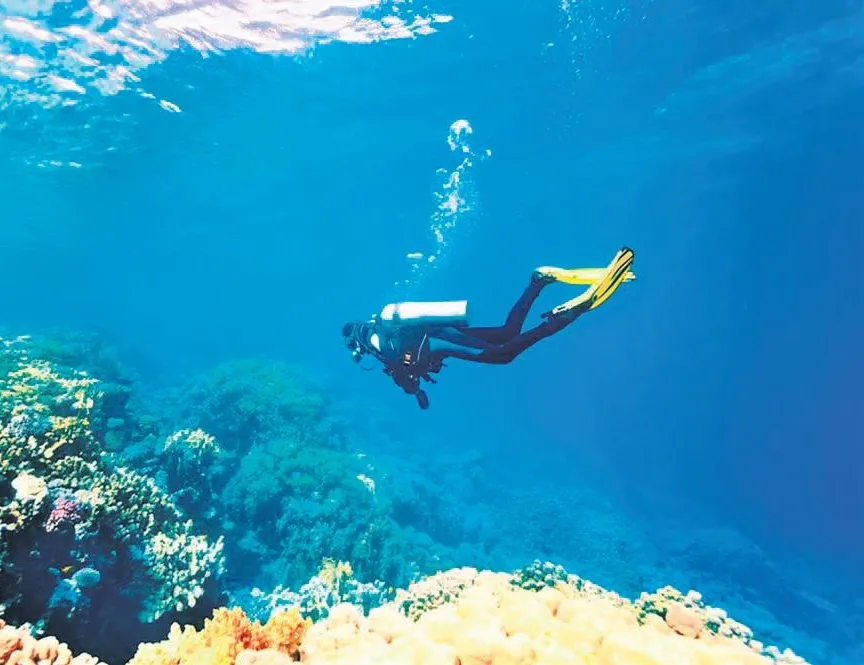 Dalış tutkunları erken geldi