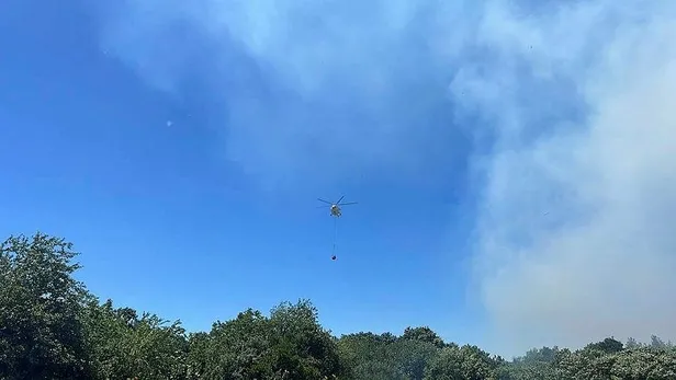 Beykoz'da orman yangını! Kısa sürede kontrol altına alındı-5