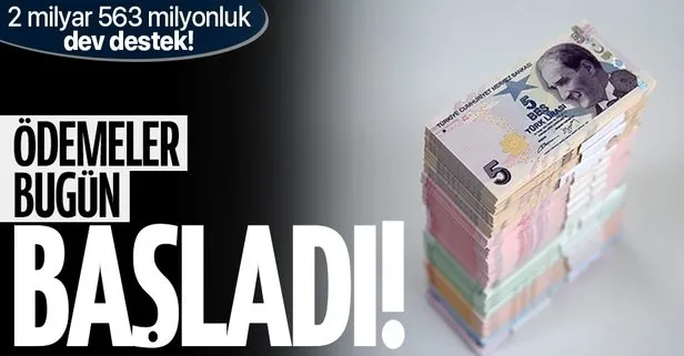 Üreticiye 2 milyar 563 milyon TL'lik destek! Ödemeler başladı