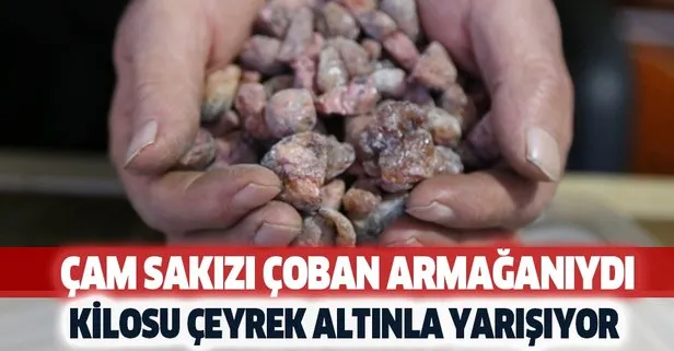 Kilosu çeyrek altınla yarışıyor! Neredeyse...