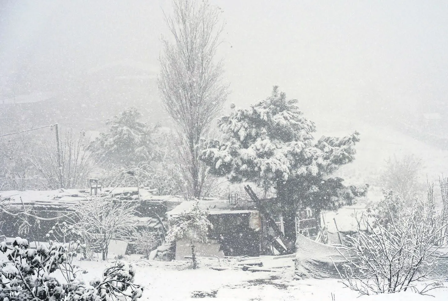 Bir günde kış geldi