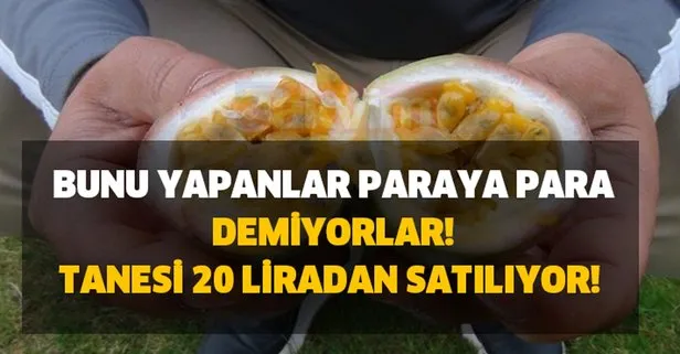 Paraya para demiyorlar! Tanesi 20 liradan satılıyor!