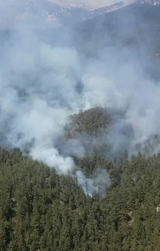 Son dakika: Antalya Demre'deki yangında, 100 dönüm orman alanı kül oldu