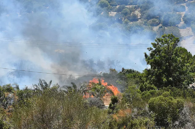 Bodrum'da korkutan yangın! Bir anda yayıldı