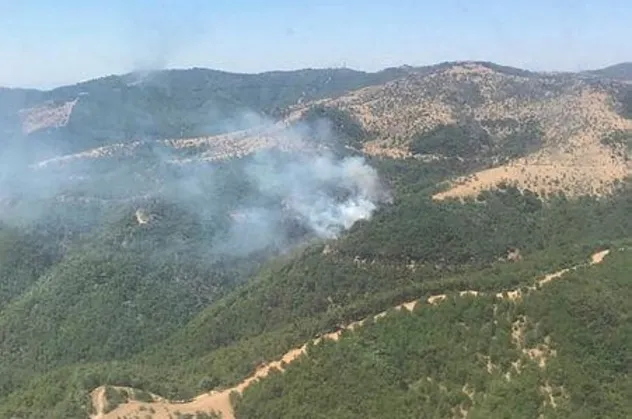 Son dakika: İzmir'de orman yangını