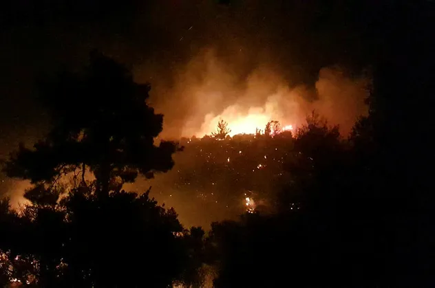 Manavgat'ta orman yangını