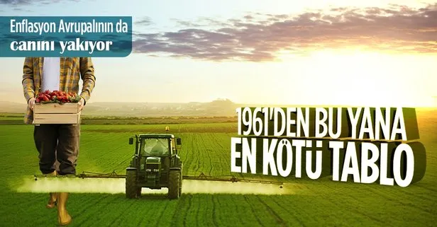 Almanya’da tarım ürünleri fiyatlarında tarihi yükseliş! 1961’den bu yana en kötü tablo