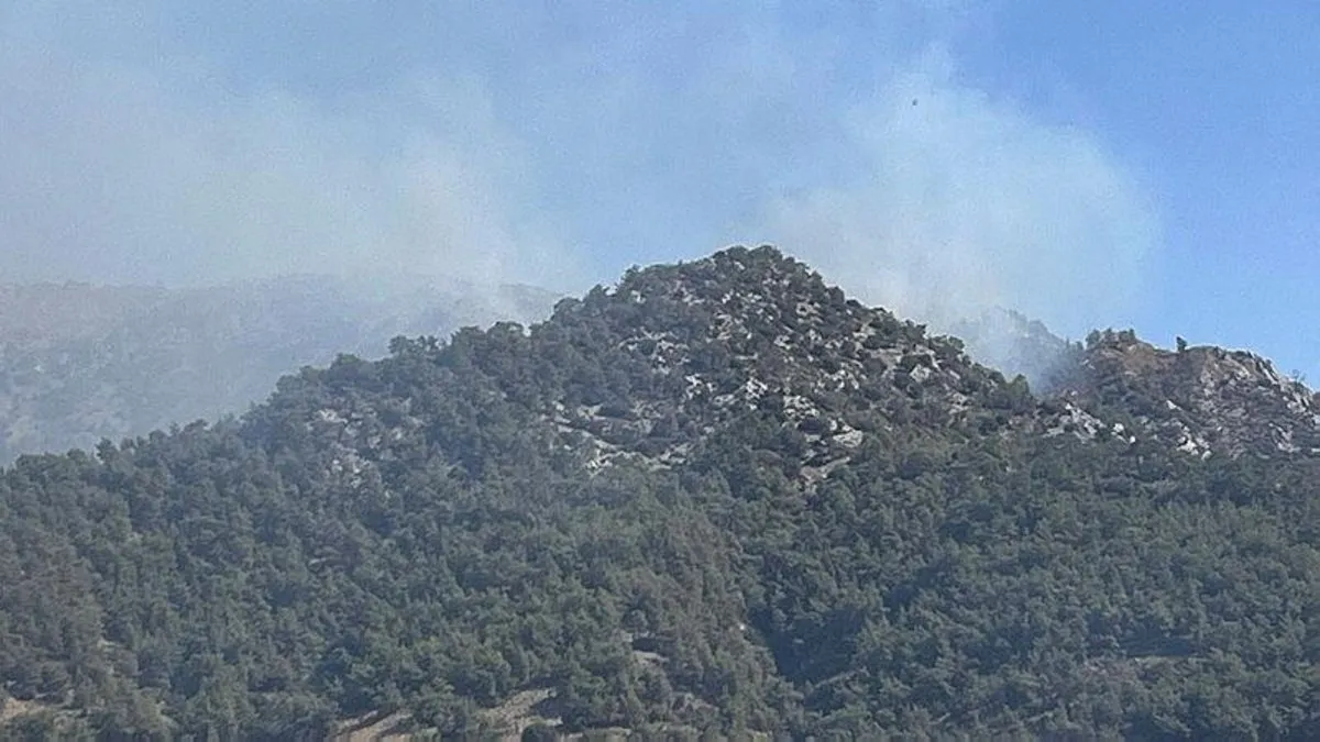 Muğla Milas'ta orman yangını! Ekiplerin müdahalesi sürüyor