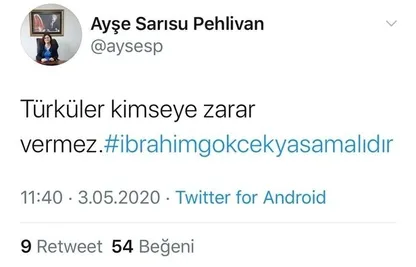 Ayşe Sarısu Pehlivan kimdir? İzmir Karşıyaka Hakimi sosyal medyada ne paylaştı?-4
